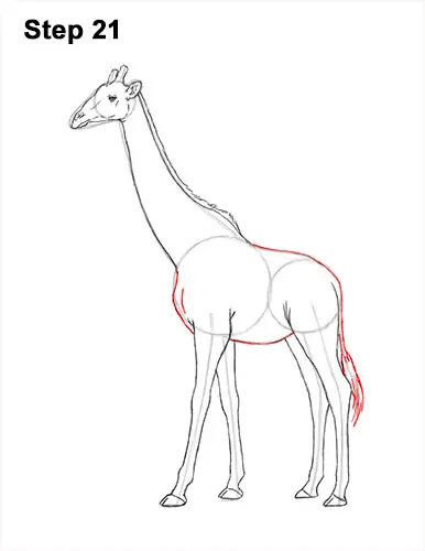 Illustration of a one-line minimalistic doodle sketch of a giraffe eating  leaves off a tree on a plain white background, a simple drawing suitable  for Stock Photo - Alamy